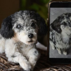 Custom Pet Dog Plush, Handmade Personalized Dog Stuffed Animal, Pet Replica from Photo, Unique Pet Memorial Gift