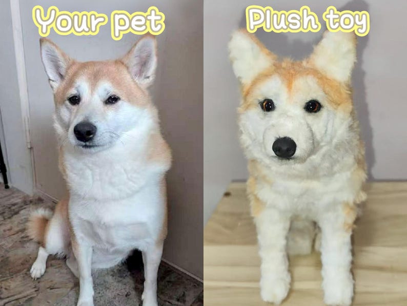 May include: A side-by-side comparison of a Shiba Inu dog and a plush toy replica. The real dog is sitting, with tan and white fur. The plush toy has similar coloring and features, with the text "Your pet" and "Plush toy" above each image.