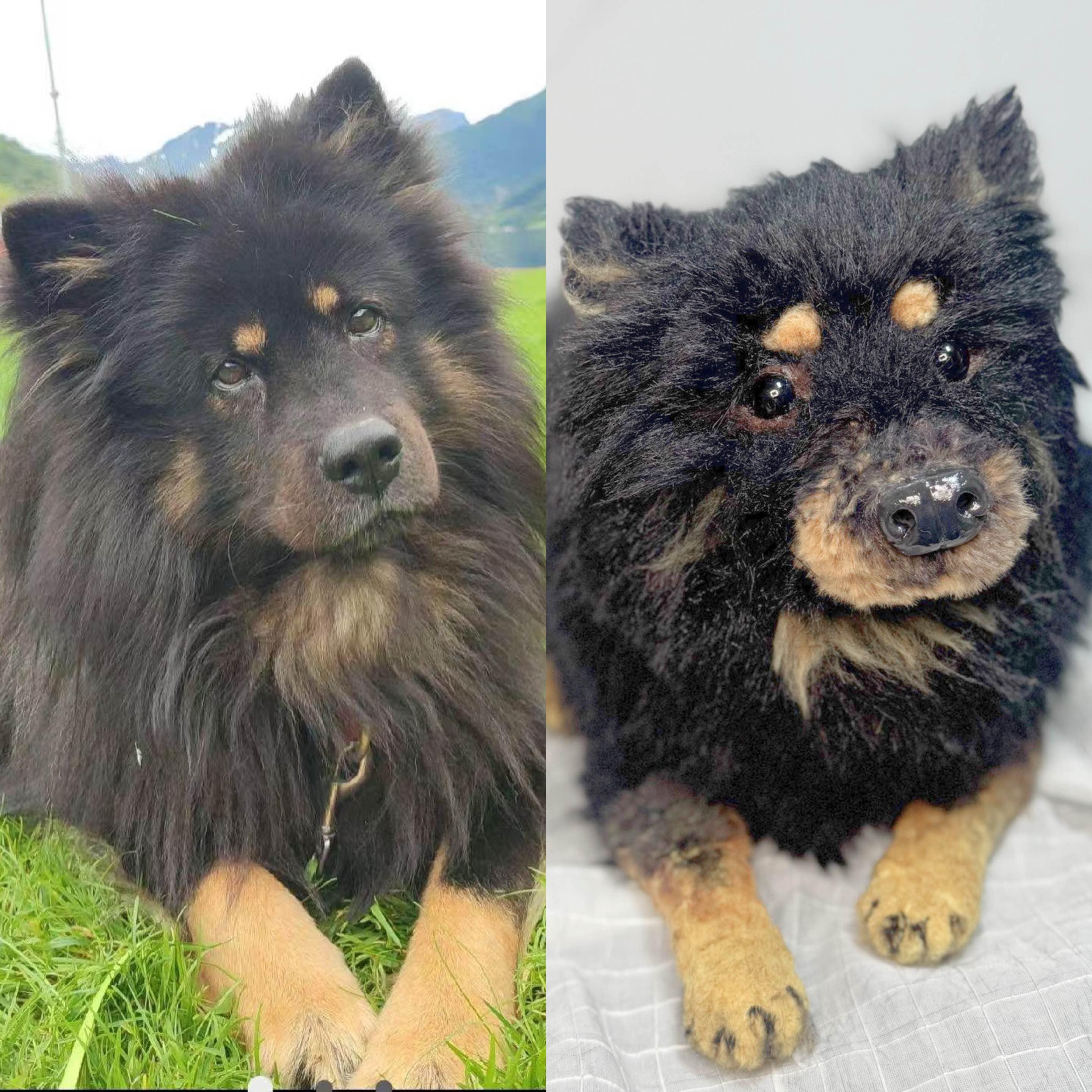 Custom Stuffed Pet Replica, Huggable Dog Plush, Handmade Pet Memorial Gift, Custom Stuffed Animal Cuddle Sizes, Realistic Dog Replica