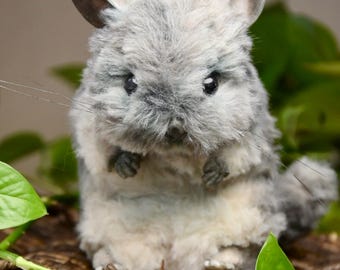 Custom Pet Replica, Chinchilla plush,Photo of pet into custom stuffed animal,Handmade Pipe Cleaner Dollhouse Dog,Personalized Pet Plush