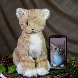 Peluche personnalisée de votre animal de compagnie - Peluche personnalisée pour chat - Cadeau personnalisé pour animal de compagnie - Cadeau pour amoureux des animaux - Décoration de chambre pour animaux de compagnie