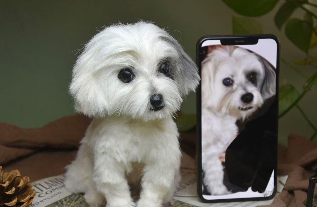 Custom Pet Replica Dog Plush,photo of Pet Into Custom Stuffed Animal ...