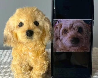 Custom Pet Plush from Photo, Personalized Memorial Stuffed Animal, Handmade Dog Replica, Pipe Cleaner Dollhouse, Pet gift, unique pet loss