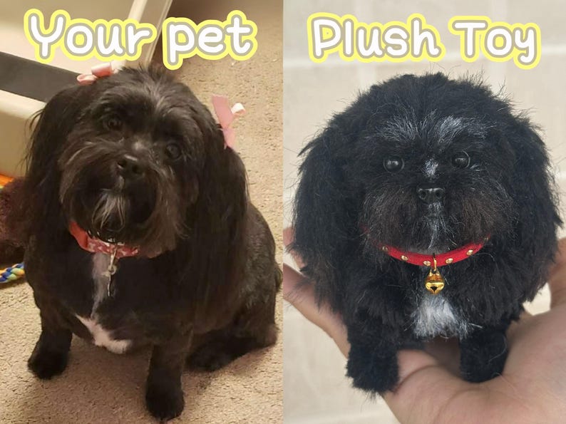 May include: Side-by-side comparison of a live dog and a plush toy dog. The real dog is black with a pink bow and red collar. The plush toy is black with a red collar and gold bell. The text "Your pet" and "Plush Toy" are above each image.