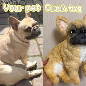 May include: A side-by-side comparison of a real French Bulldog and a plush toy version. The real dog is light brown with a black nose, while the plush toy has a similar color scheme and texture, with the text "Your pet Plush toy" in yellow.