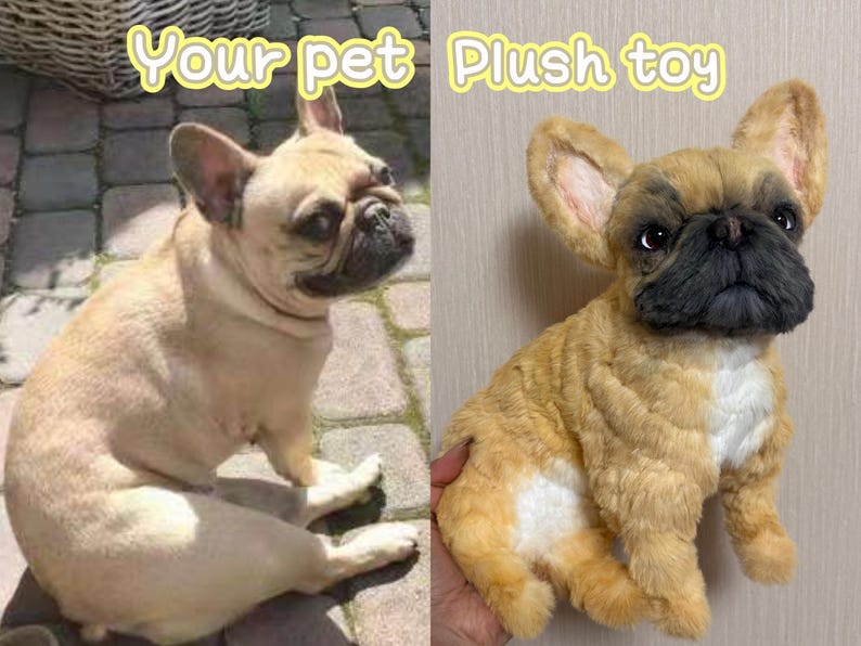 May include: A side-by-side comparison of a real French Bulldog and a plush toy version. The real dog is light brown with a black nose, while the plush toy has a similar color scheme and texture, with the text "Your pet Plush toy" in yellow.