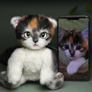 Jouet en peluche personnalisé de votre animal de compagnie - Chat en peluche personnalisé Animal Chat personnalisé Peluche Cadeau personnalisé Pet Memorial Pet Lover Gift Pet Room Decor Pet Toy