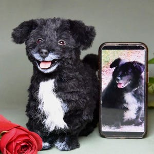 Custom Pet Dog Plush, Handmade Personalized Dog Stuffed Animal, Pet Replica from Photo, Unique Pet Memorial Gift