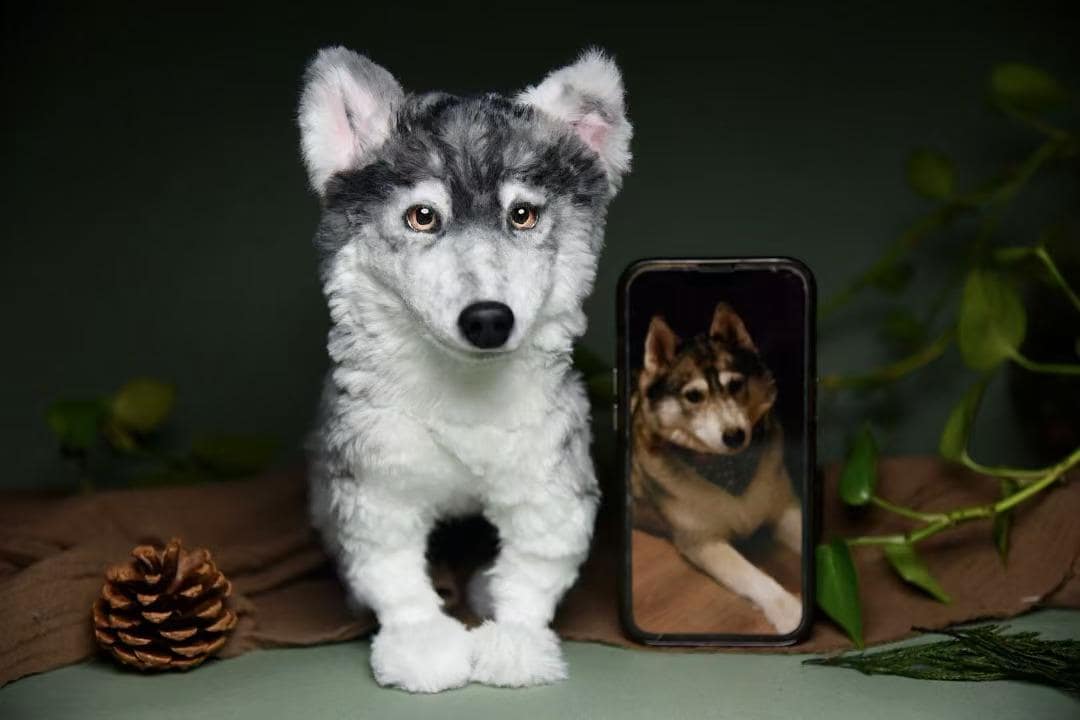 Custom Pet Replica Dog Plush,photo of Pet Into Custom Stuffed Animal ...