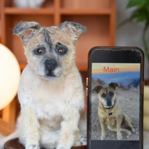 Custom Pet Dog Plush, Handmade Personalized Dog Stuffed Animal, Pet Replica from Photo, Unique Pet Memorial Gift