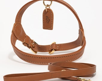 Leather Dog Harness and Leash Set for Small Dogs, Harness for Small Dogs, Luxury Dog Harness, Small Dog Harness