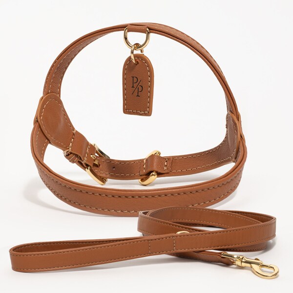 Leather Dog Harness and Leash Set for Small Dogs, Harness for Small Dogs, Luxury Dog Harness, Small Dog Harness