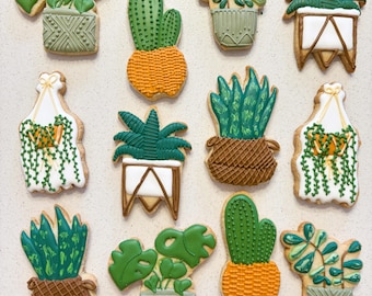 Potted Houseplant Cookies