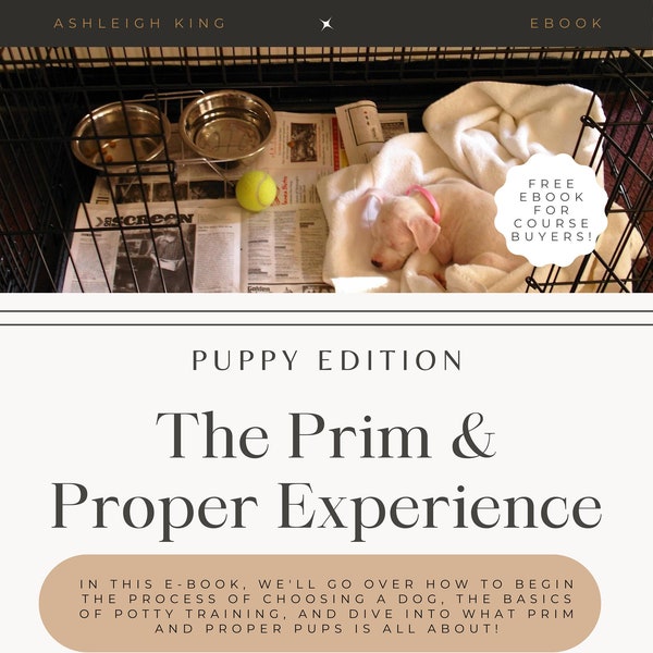 The Prim & Proper Experience: Puppy Edition