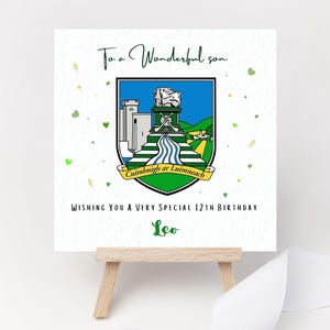 Gepersonaliseerde verjaardagskaart County Hurling Football Iers-Gaelisch Son Peetzoon Championship Munster Ulster Connacht Leinster Heel Ierland