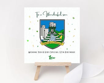 Personalised Birthday Card Counties Hurling Football Irish Gaelic Son Godson Championship Munster Ulster Connacht Leinster All Ireland