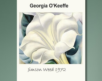 Georgia O'Keeffe-poster met witte bloem, Georgia O'keefe ingelijste print, Georgia O'Keeffe geïnspireerd, bloemsierkunst, cadeau voor haar, kerstcadeau