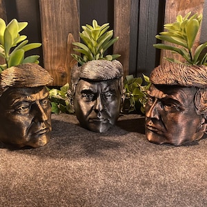 May include: Three ceramic planters shaped like a person's head with hair. The planters are painted in different shades of brown and black. Each planter has a small green plant growing inside.