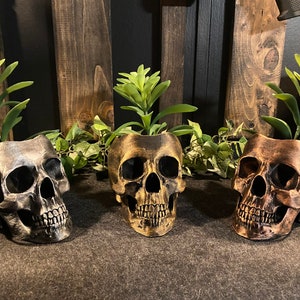 May include: Three skull-shaped planters in metallic finishes: silver, gold, and bronze. Each skull holds a green succulent plant. The planters are displayed on a dark surface with a wooden backdrop, creating a gothic or Halloween theme.