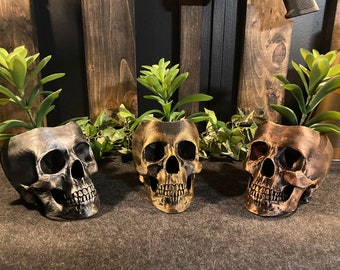 Peut inclure: Trois pots en forme de crâne aux finitions métalliques : argent, or et bronze. Chaque crâne contient une plante succulente verte. Les pots sont présentés sur une surface sombre avec une toile de fond en bois, créant un thème gothique ou d'Halloween.