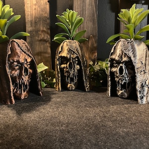 May include: Three skull-shaped planters with a hooded design. Each planter is made of a different material, one is bronze, one is gold, and one is silver. Each planter has a small plant growing out of the top.