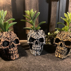 May include: Three black skull planters with gold accents, each with a small green succulent plant inside.
