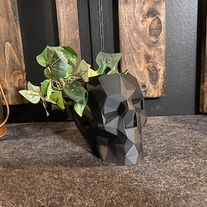 May include: A black geometric skull planter with a green leafy plant inside. The planter is sitting on a dark brown surface.