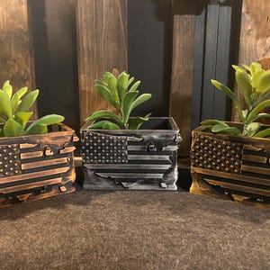 May include: Three small wooden planters with an American flag design. Each planter has a different color scheme: gold, silver, and black. The planters are filled with small green plants.