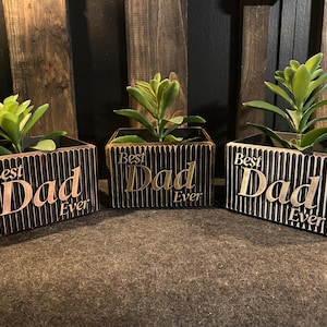 May include: Three wooden planters, each with a green succulent and the text "Best Dad Ever". The planters are in shades of brown and grey, with a ribbed design. The planters are a decorative gift.
