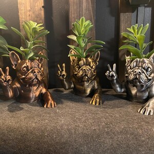 May include: Three decorative bulldog planters in bronze, gold, and silver tones, each holding a green plant. The bulldogs are posed with their paws up in a peace sign. These planters add a unique touch to any home decor.