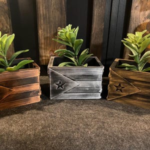 Op de afbeelding: Drie houten plantenbakken met een Puerto Ricaans vlagontwerp. De bakken zijn geschilderd in bruin, grijs en zwart. Elke bak bevat een groene vetplant.