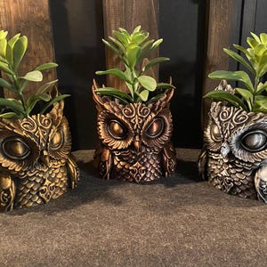 May include: Three owl-shaped planters crafted with intricate feather detailing and metallic finishes in bronze, copper, and silver tones. Each owl features large, prominent eyes and holds a small green succulent plant within its hollow top section.