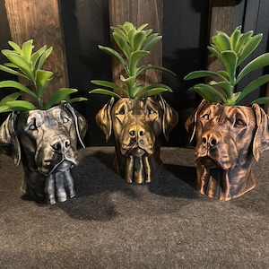 Peut inclure: Trois cache-pots en forme de tête de chien, chacun surmonté d'une plante succulente verte. Les récipients présentent des finitions métalliques argentées, dorées et bronze, mettant en valeur des traits faciaux canins très détaillés.