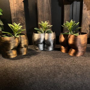 May include: Three decorative planters shaped like a pair of buttocks, each holding a small succulent plant. The planters are metallic in gold, silver, and copper tones. The background features wooden planks.