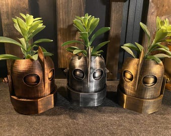 英国ビンテージ植木鉢ビクトリア専用です Amazon | 植木鉢 鉢 ポリ鉢 国華園 ポリ製鉢 プチオアシス 天上