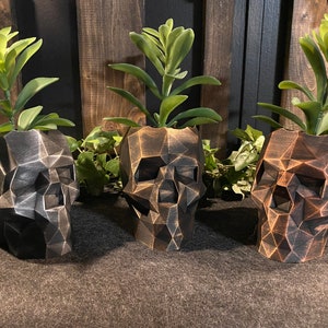 Pode incluir: Três vasos de caveira geométricos em preto e bronze com suculentas verdes plantadas dentro.