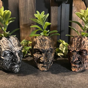 May include: Three planters shaped like human heads with a grotesque, textured surface. Each planter is filled with a small green plant. The planters are painted in different shades of brown and black.
