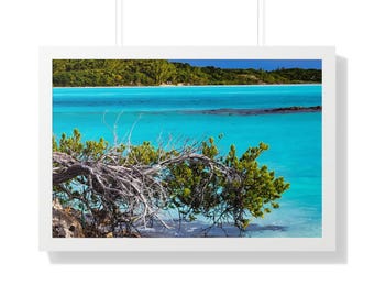 Tropical Beach Framed Poster: Coastal Decor Wall Art