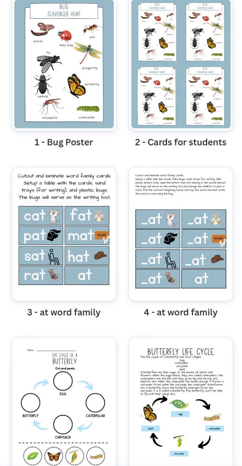 Bug Student Bug Unit for Preschool Digital - Etsy