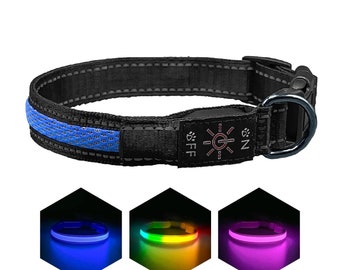 Collar LED para mascotas: recargable por USB-C, resistente a la intemperie, ajustable y con luz para seguridad nocturna.