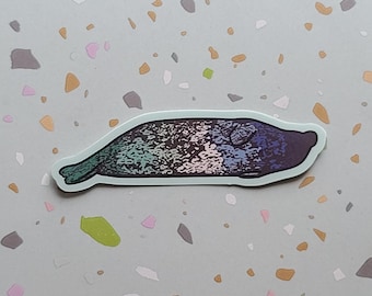 Gay/MLM Flag Harbor Seal Sticker