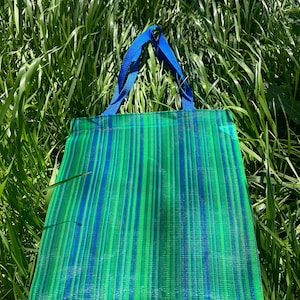 May include: A green and blue striped mesh tote bag with blue handles. The bag is sitting on a bed of green grass.