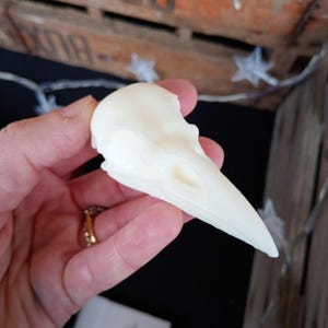 Rabenschädel Wachs schmilzt | Sojawachs | Wählen Sie Ihren Duft!