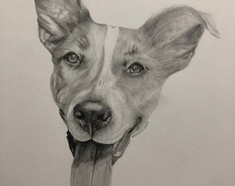 Custom Art - Graphite drawing 8x10 inch