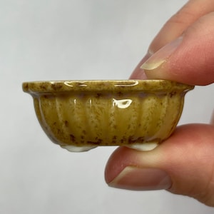 Tiny Scalloped Oval Mame Bonsai Pot in Champagne, About 1.5 inches long