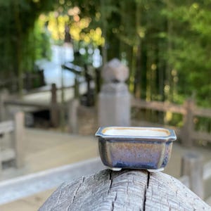 新登場！ダーククリスタルシャンパンカラーの小さな長方形の豆盆栽鉢、幅約1.5インチ