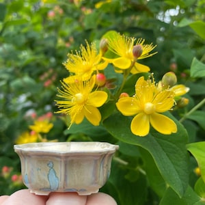May include: A small, scalloped ceramic bowl with a glossy, iridescent cream glaze featuring subtle blue-toned patches. The bowl has a multi-faceted, rounded shape with a raised rim and sits on small feet, presented against a backdrop of yellow flowers.