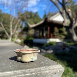 May include: A small, ceramic bonsai pot with a scalloped rim. The pot is a pale yellow with brown accents and blue floral details. The pot is sitting on a gray surface, with a blurred background of trees and a building.