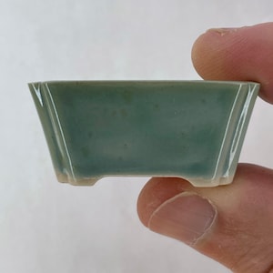 ¡Nuevo! Maceta rectangular pequeña para bonsái Mame en color verde claro Monstera, de aproximadamente 3,8 cm de ancho.