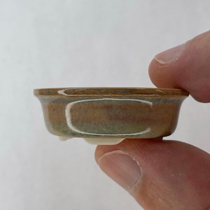 Tiny Oval Mame Bonsai Pot in Opal Cream, Only 1.5 inches